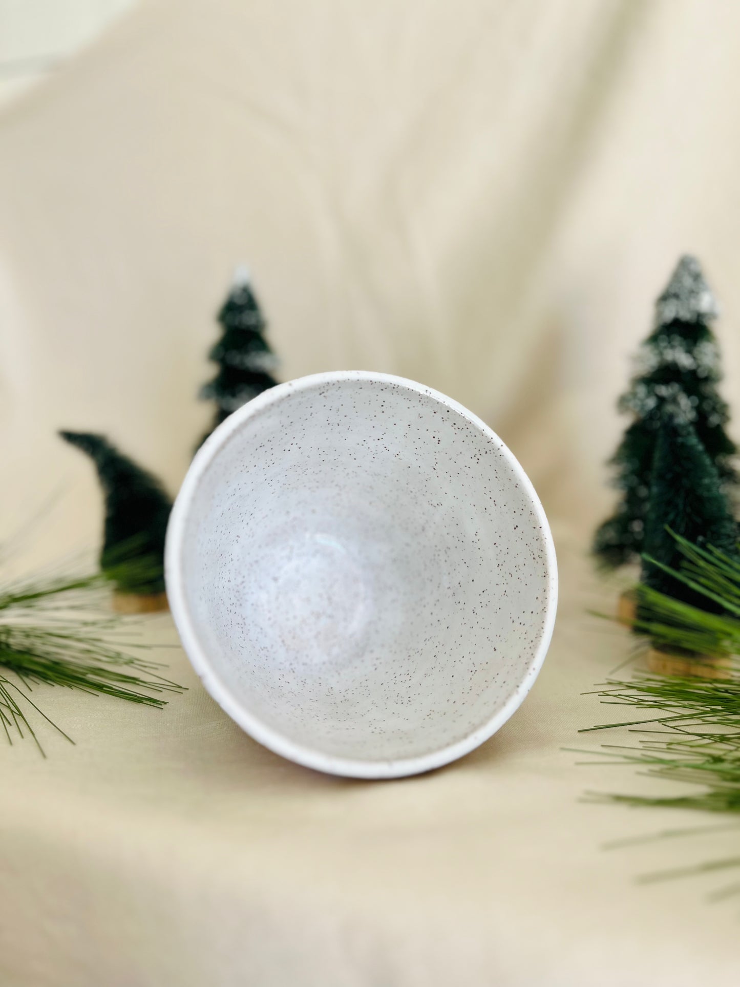 Snowy Forest Ramen Bowl