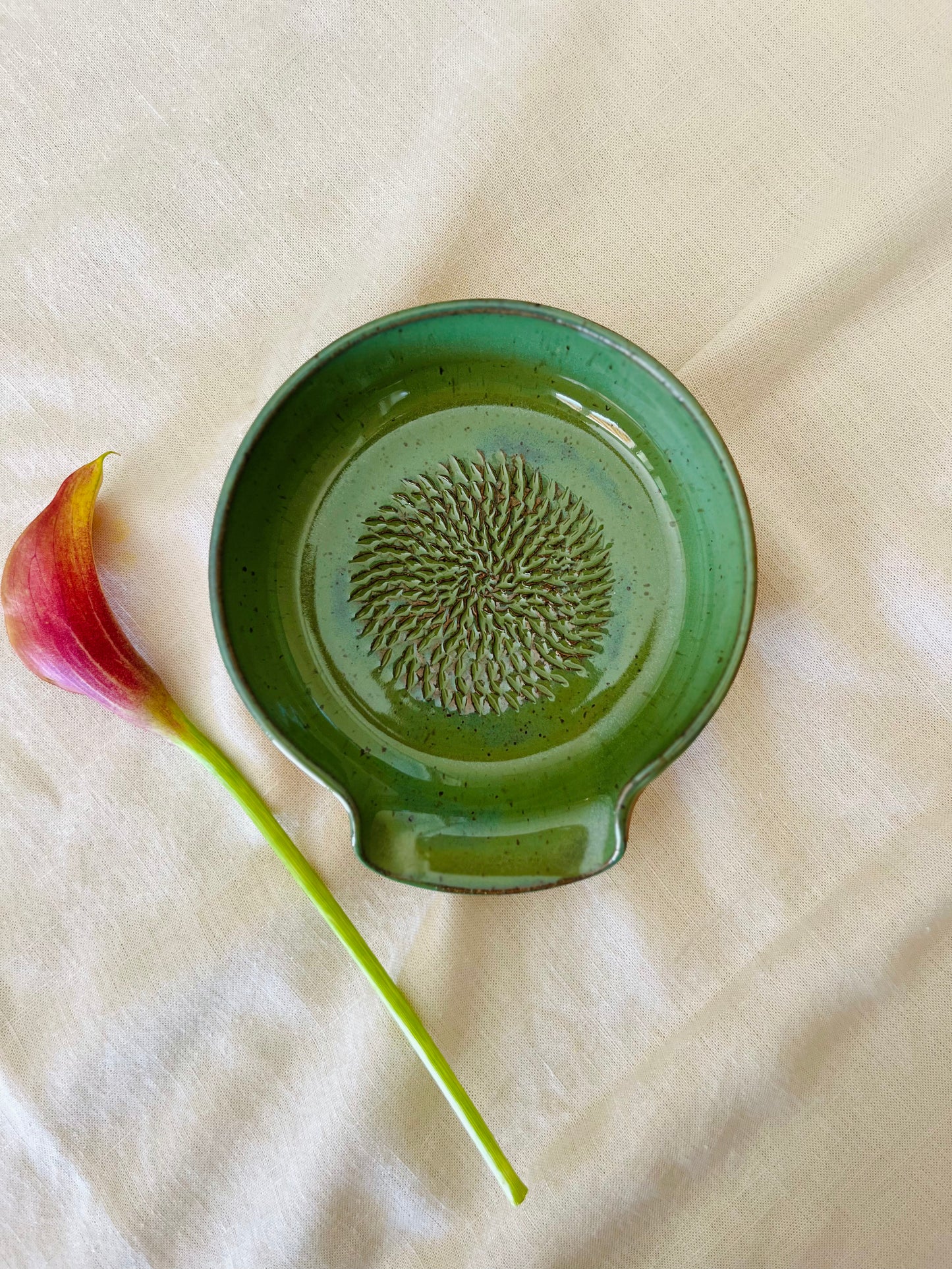 Garlic Dish
