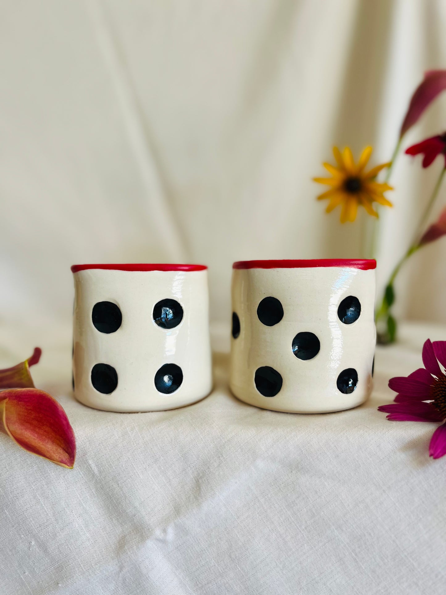 Dice Cup Set