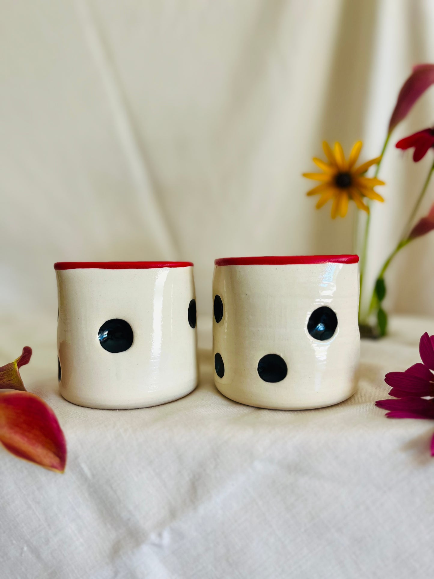 Dice Cup Set