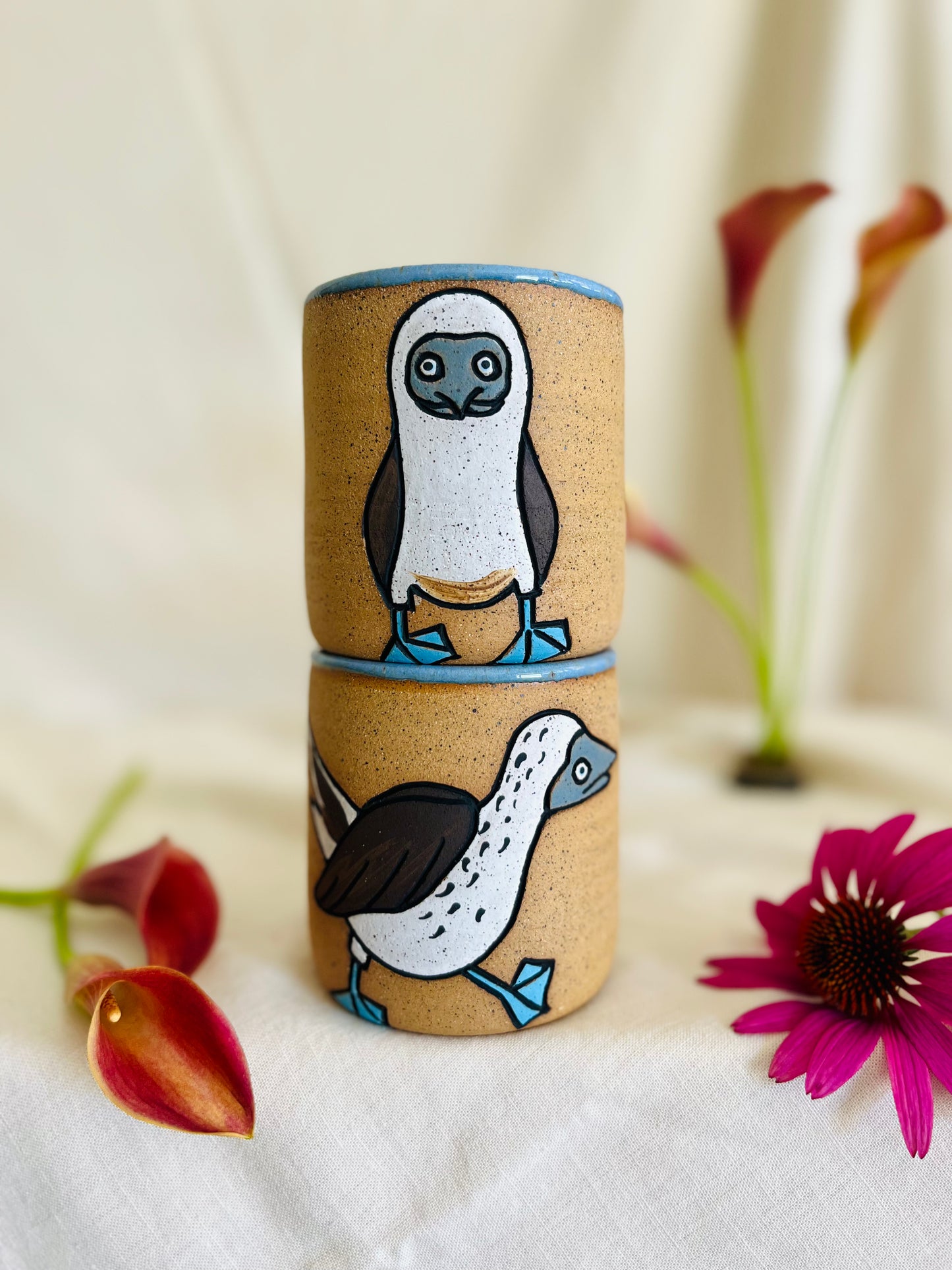 Blue Footed Booby Cup