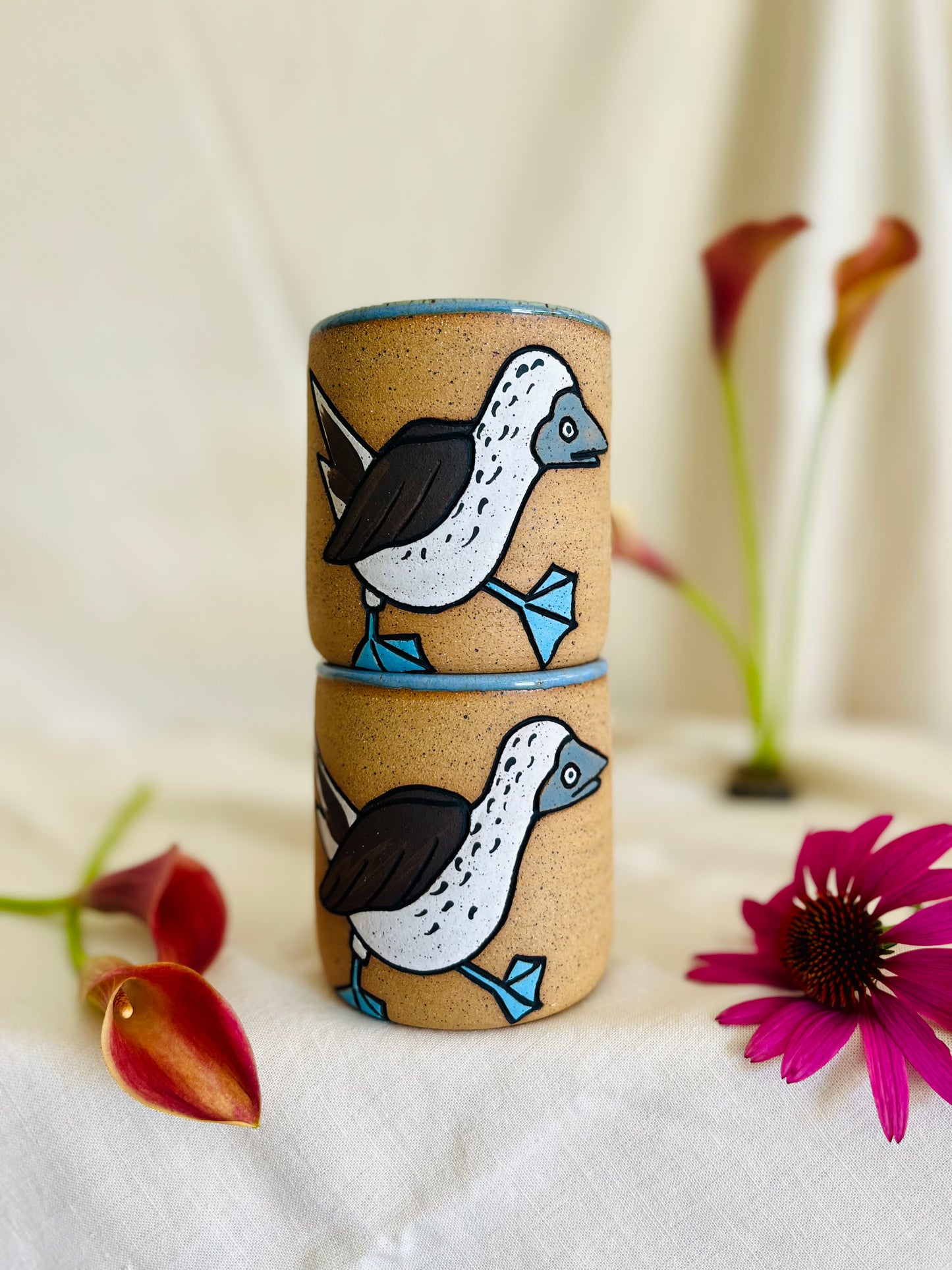 Blue Footed Booby Cup