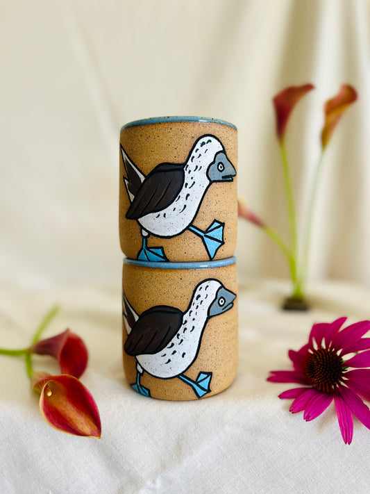 Blue Footed Booby Cup